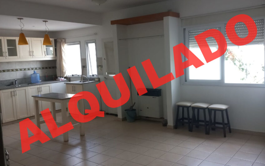 Alquiler Dpto 1º Piso Av   Alem 782